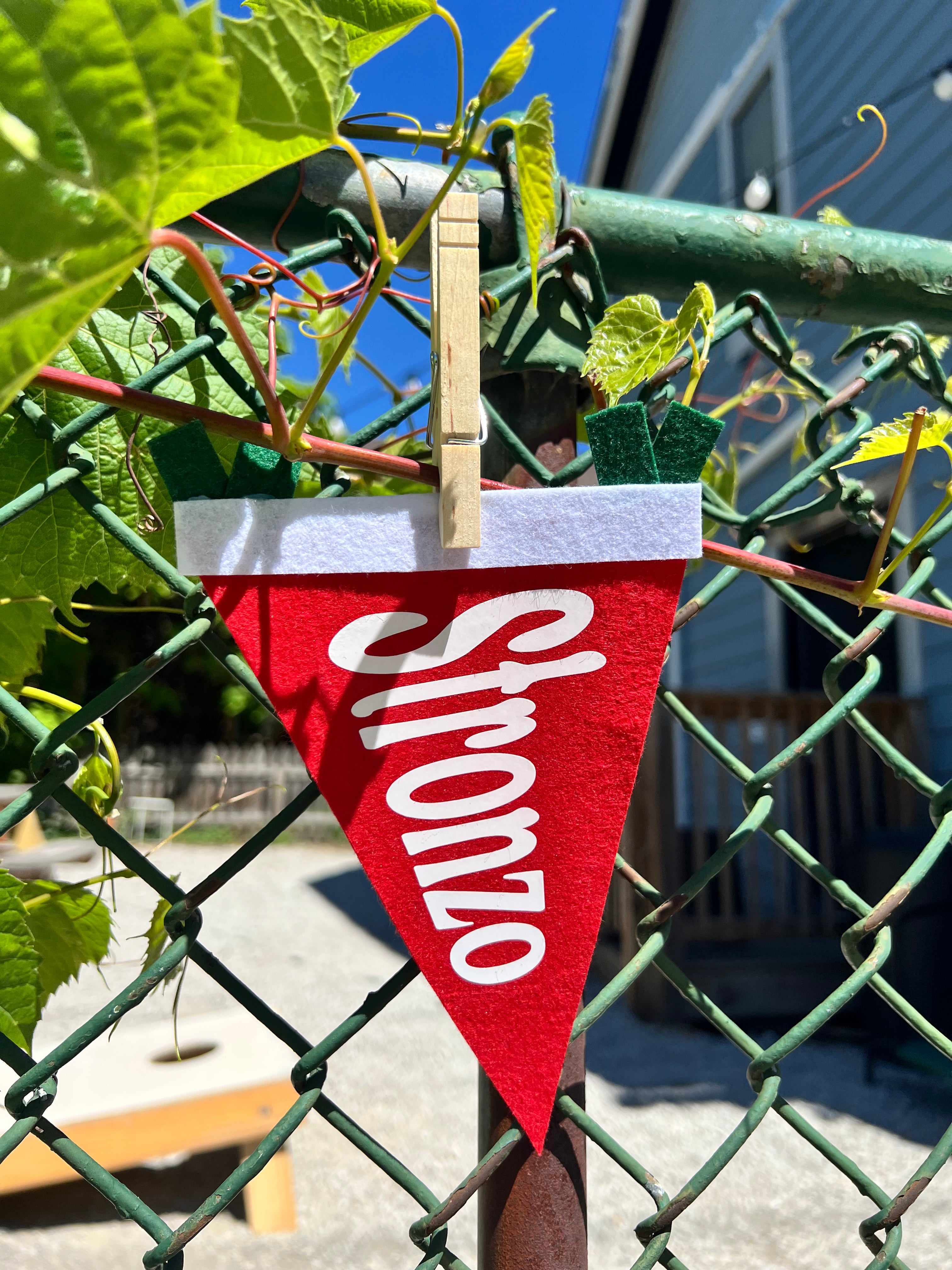 Italian Slang Pennant Flag