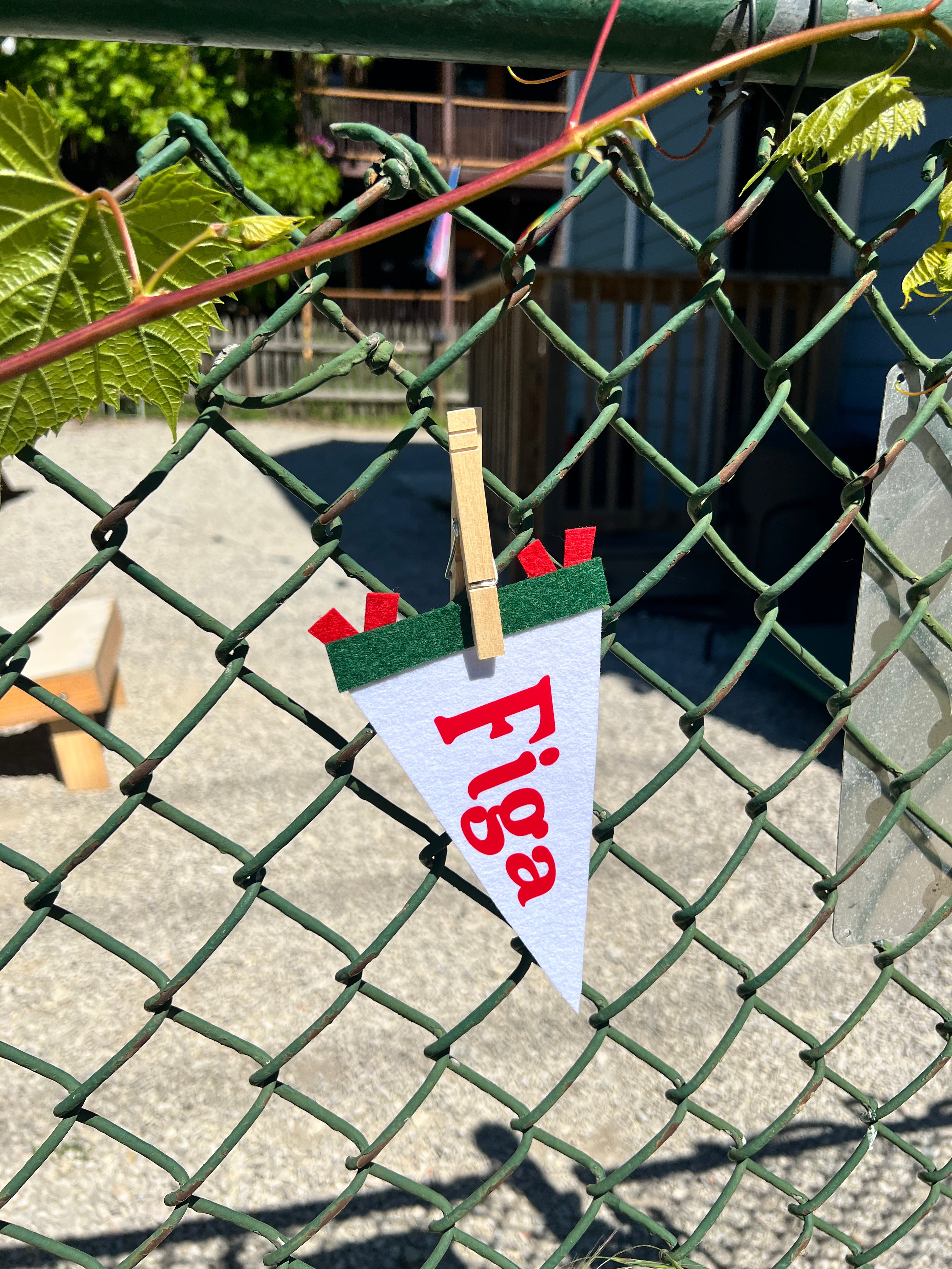 Italian Slang Pennant Flag