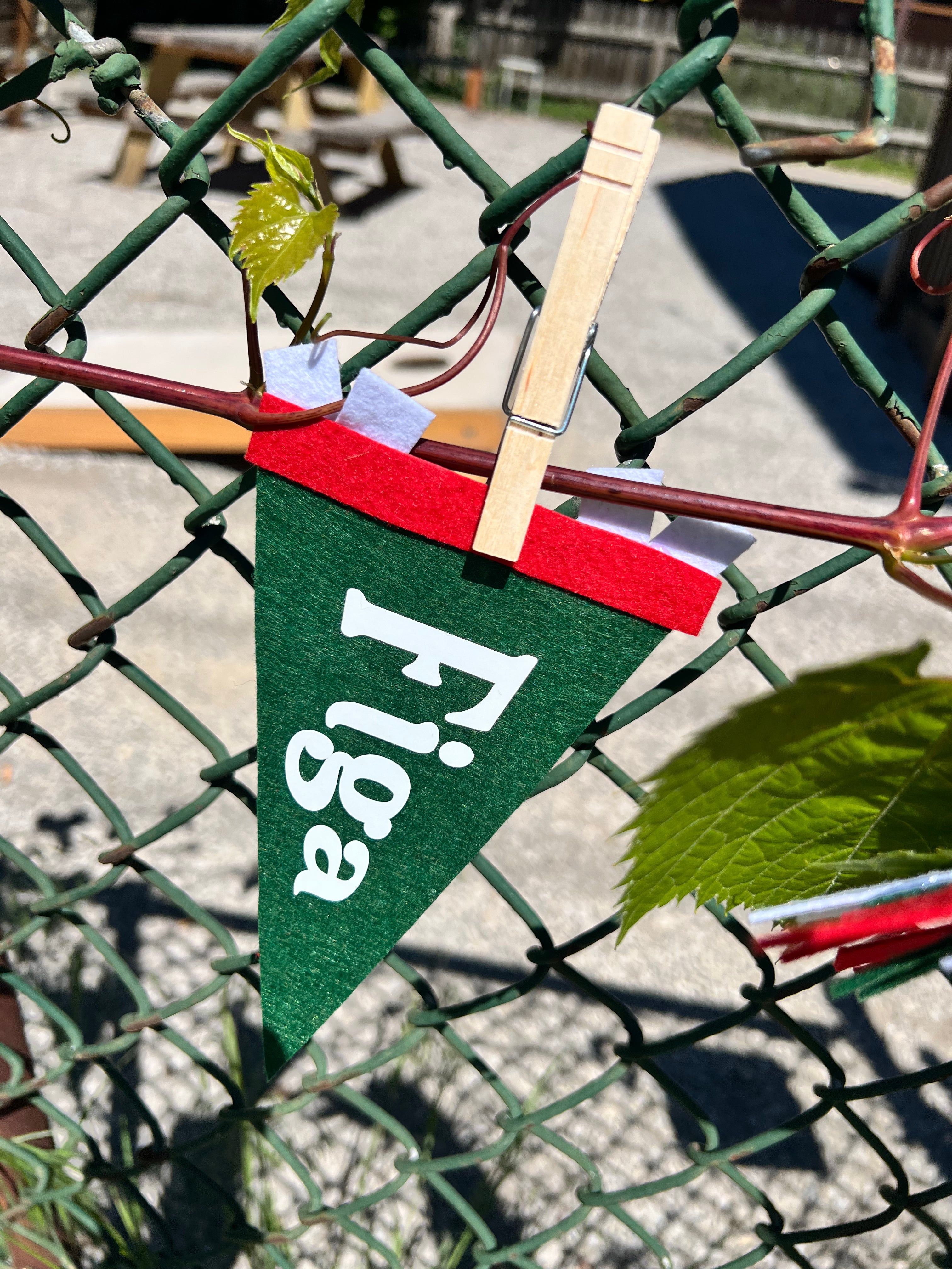 Italian Slang Pennant Flag