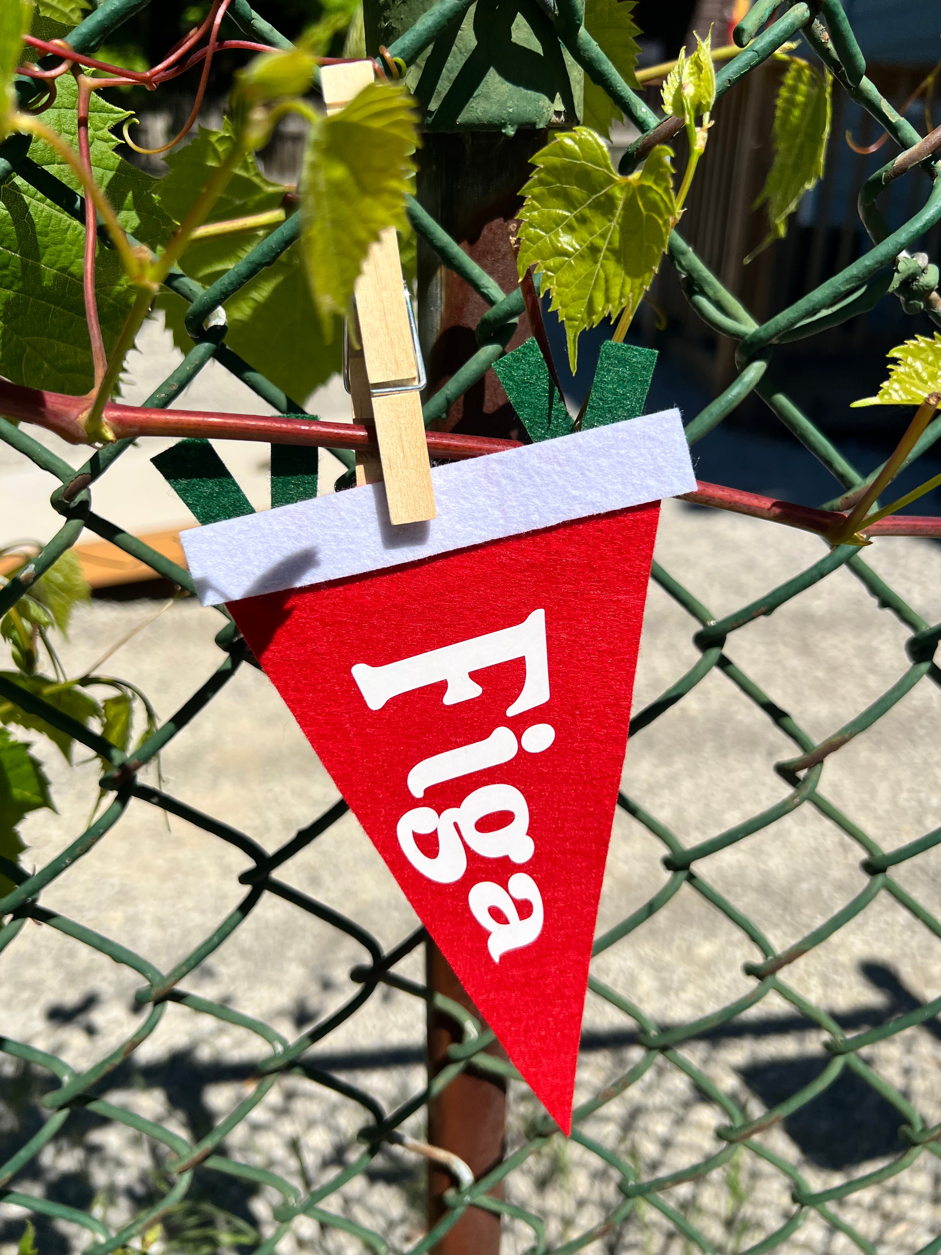 Italian Slang Pennant Flag